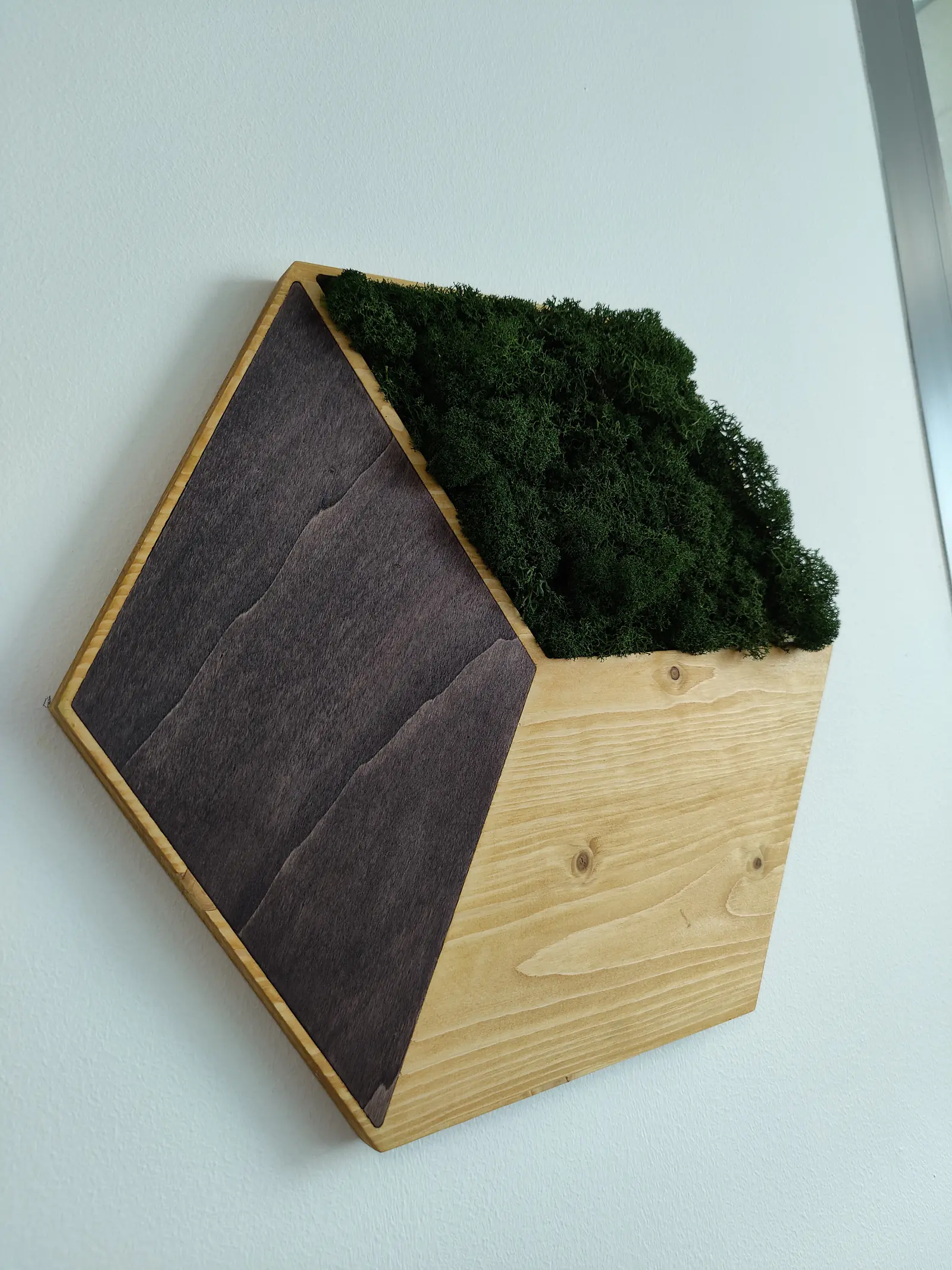 Hexagones en bois garnis de végétal stabilisé sur mur blanc