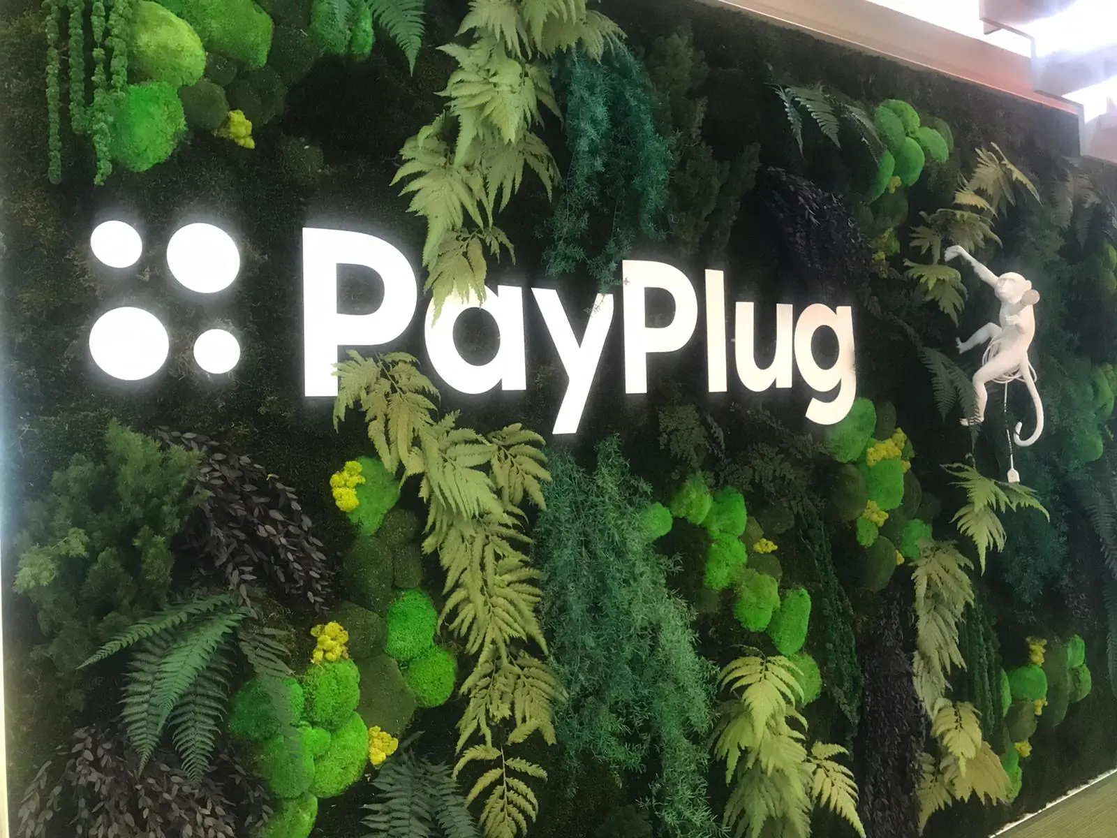 Logo Payplug en lettres blanches sur un mur de végétal stabilisé