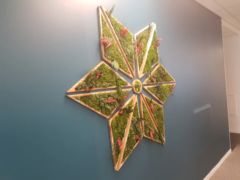 Panneau mural en étoile composé de mousse végétale stabilisée et de fleurs séchées corail