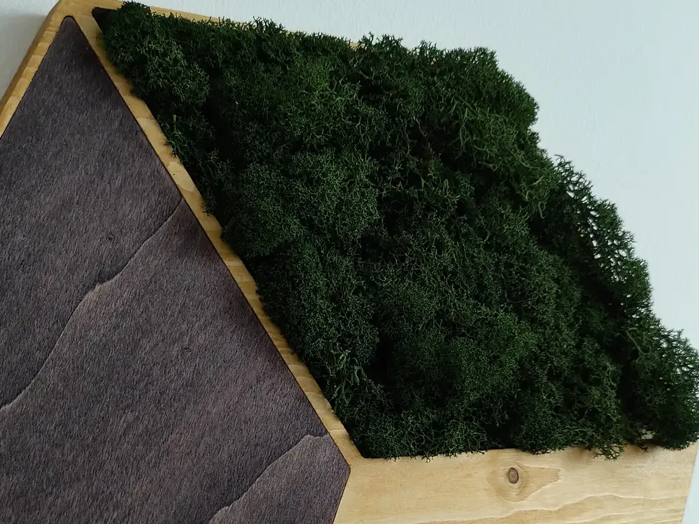 Gros plan sur la mousse stabilisée qui garnit un hexagone en bois