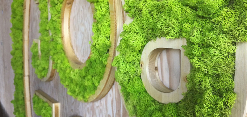 Lettrage 3D en végétal stabilisés pour bureaux